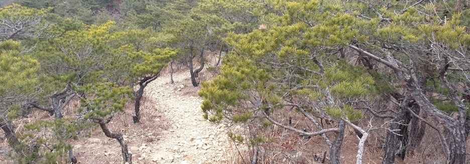 SE-2dda5213-f3b0-4572-8a74-f6152d0a5f06.jpg?type=w1