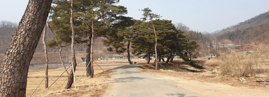 SE-f7e3e869-77d9-4254-9b9e-3501d1d997f2.jpg?type=w1