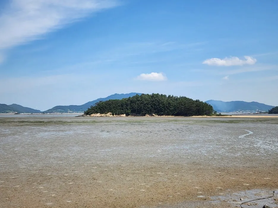 KakaoTalk_20240529_170420553.jpg?type=w1