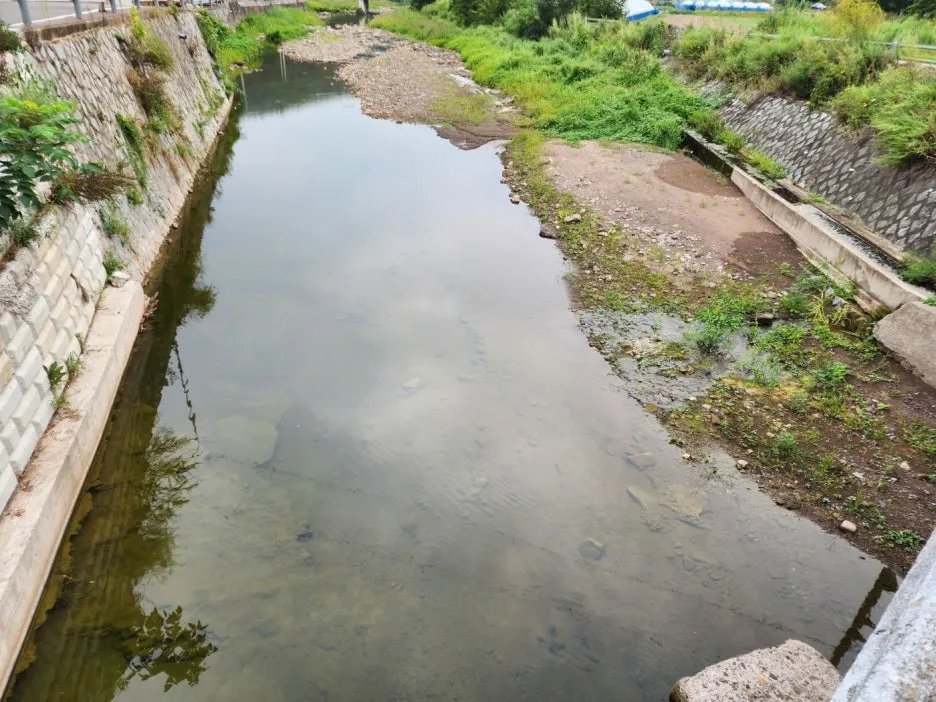 KakaoTalk_20240906_110449618_01.jpg?type=w1