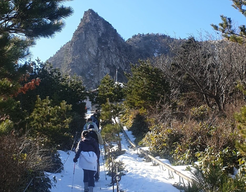 SE-699d741f-6271-450e-b9bc-1298b33011c9.jpg?type=w1