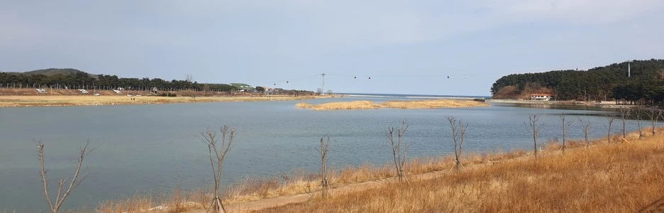 SE-78072e5e-4858-4eba-befa-3f4937085f09.jpg?type=w1