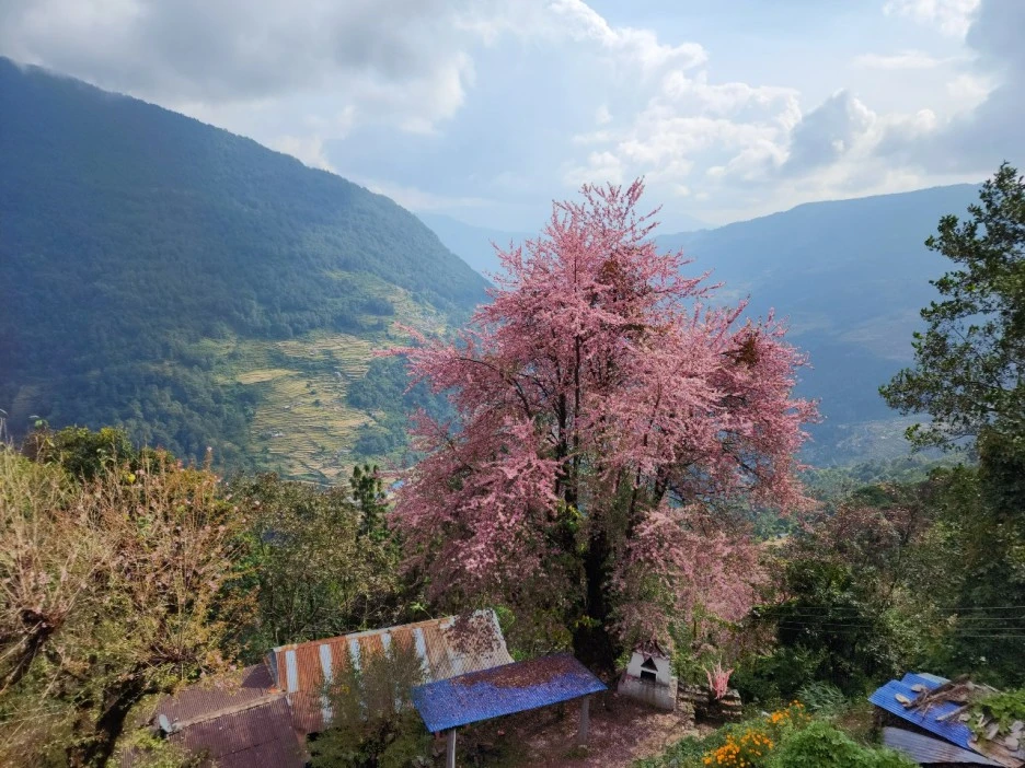 KakaoTalk_20221115_100358892_02.jpg?type=w1