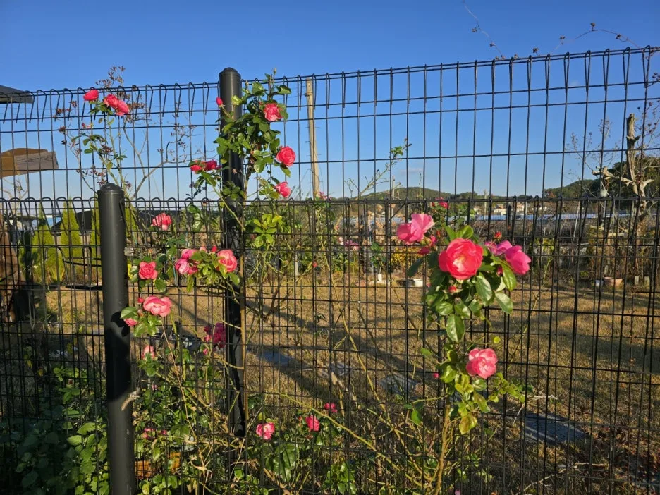 KakaoTalk_20241122_202414998_09.jpg?type=w1