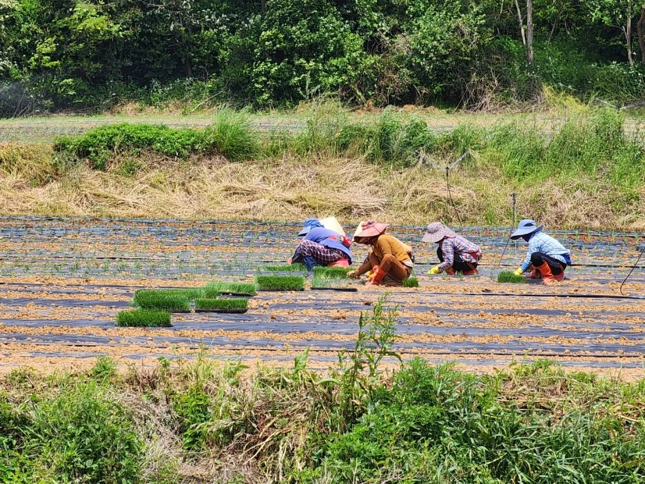 KakaoTalk_20240512_032903167_15.jpg?type=w1