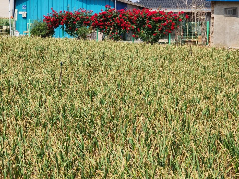 KakaoTalk_20240521_140452510_23.jpg?type=w1