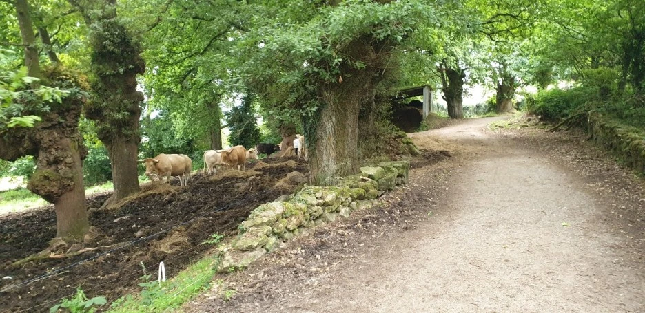 KakaoTalk_20220611_192958913_07.jpg?type=w1