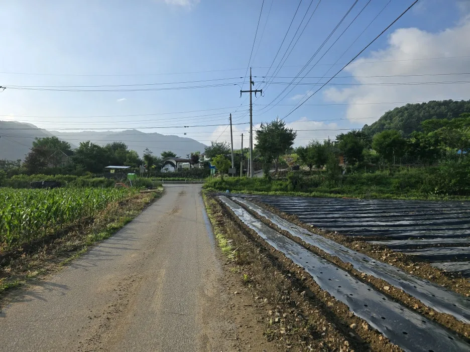 KakaoTalk_20250623_033029623_10.jpg?type=w1