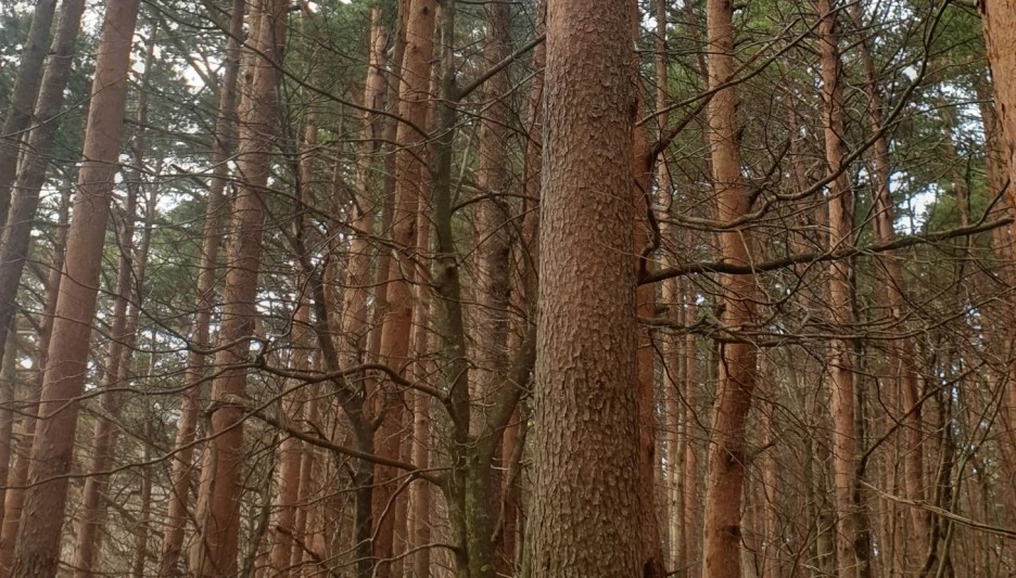 SE-220ca535-74f0-4702-90ba-0e599f684990.jpg?type=w1