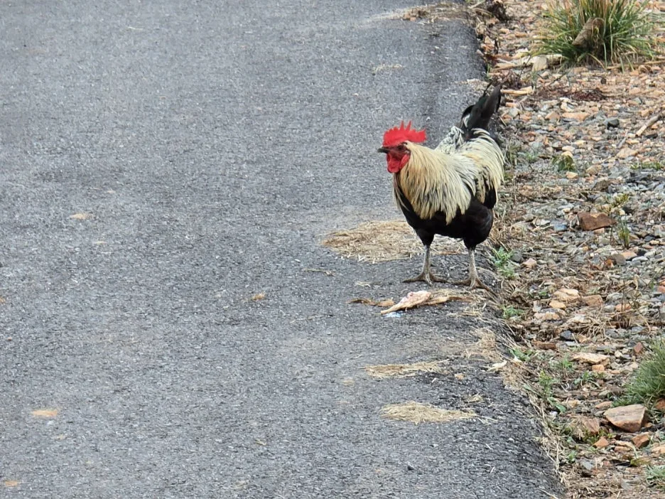 KakaoTalk_20241102_064540914_02.jpg?type=w1