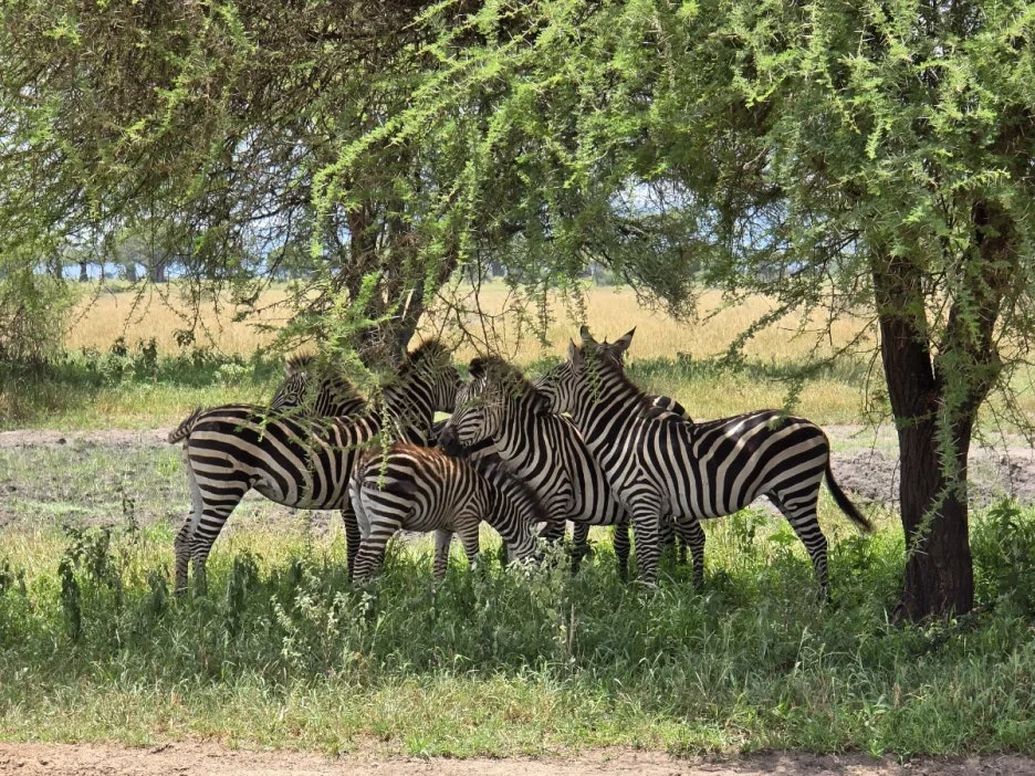 KakaoTalk_20250405_112215504_17.jpg?type=w1