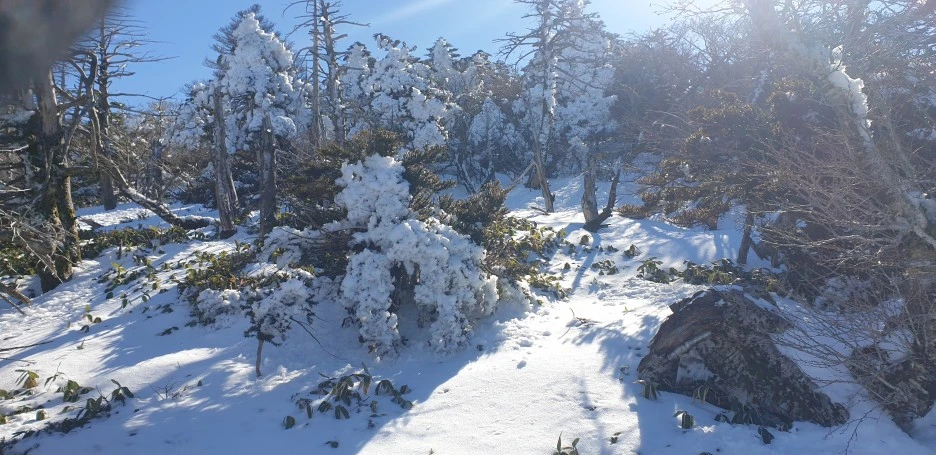 20211210_121544.jpg?type=w1