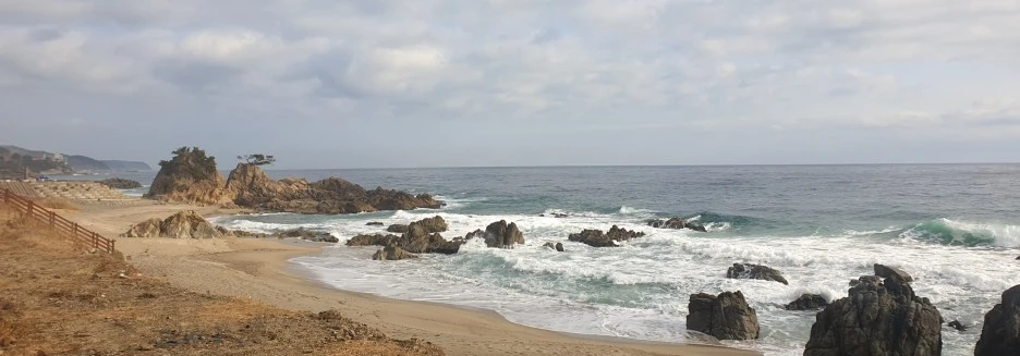 SE-524d68ee-8677-479b-874a-dabc26eb1264.jpg?type=w1