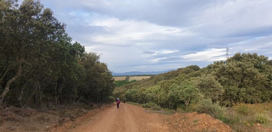 KakaoTalk_20220608_004235711_01.jpg?type=w1