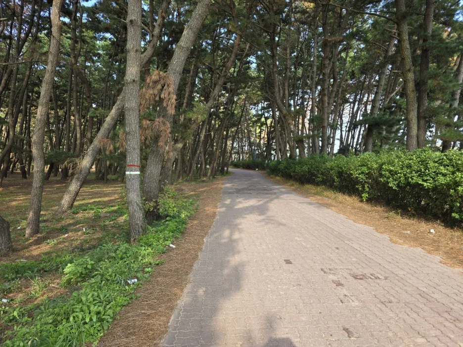 KakaoTalk_20241101_225213180_20.jpg?type=w1