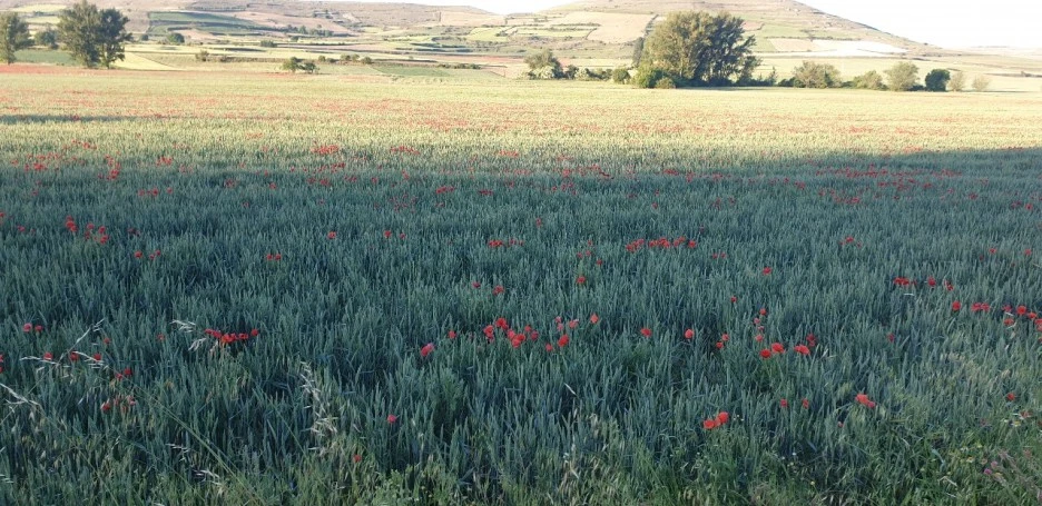 KakaoTalk_20220601_001657063_04.jpg?type=w1