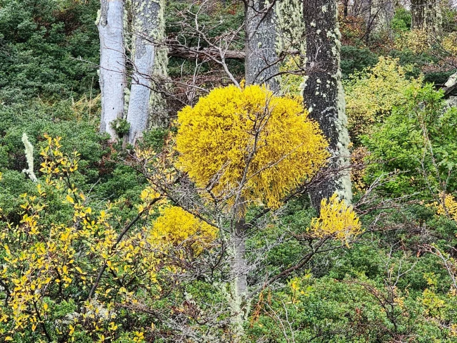 KakaoTalk_20240805_072017806_13.jpg?type=w1