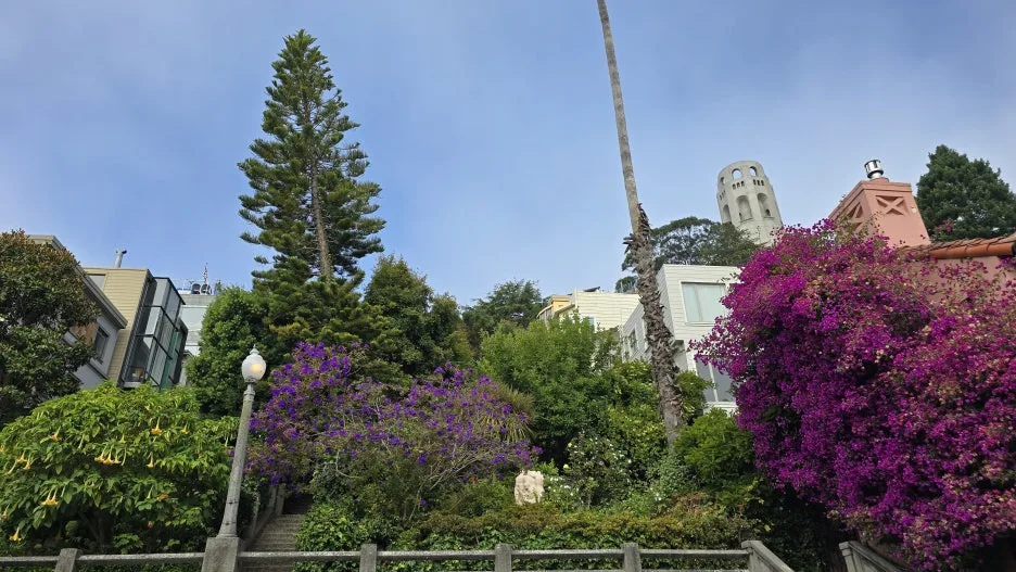 KakaoTalk_20250818_202419132_09.jpg?type=w1