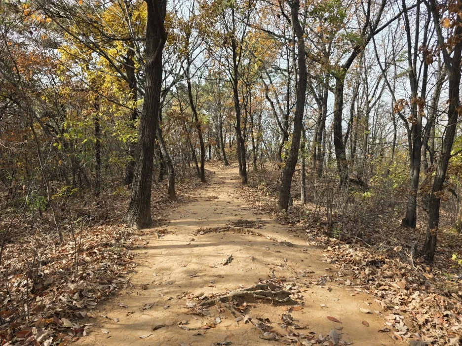 KakaoTalk_20241126_043411154_29.jpg?type=w1