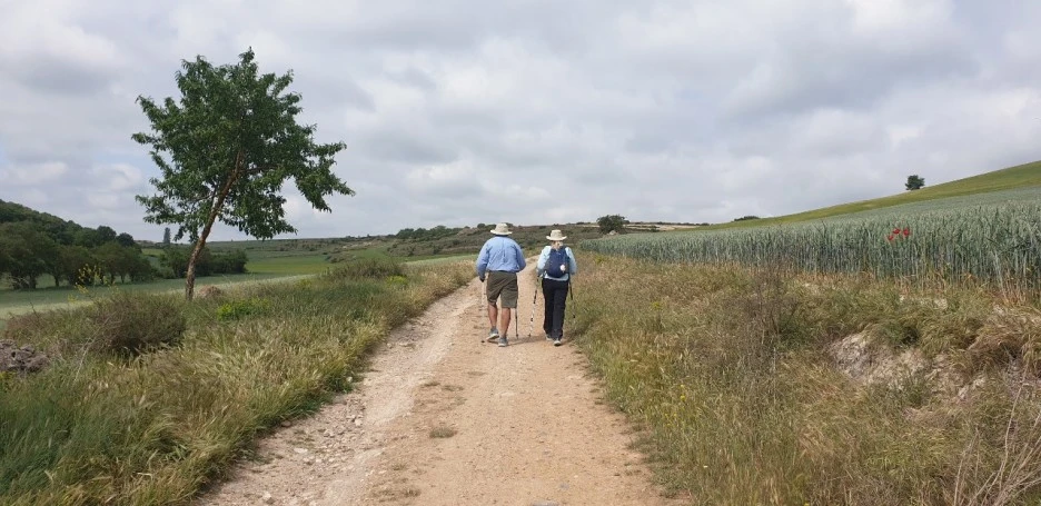 KakaoTalk_20220530_235349060_01.jpg?type=w1