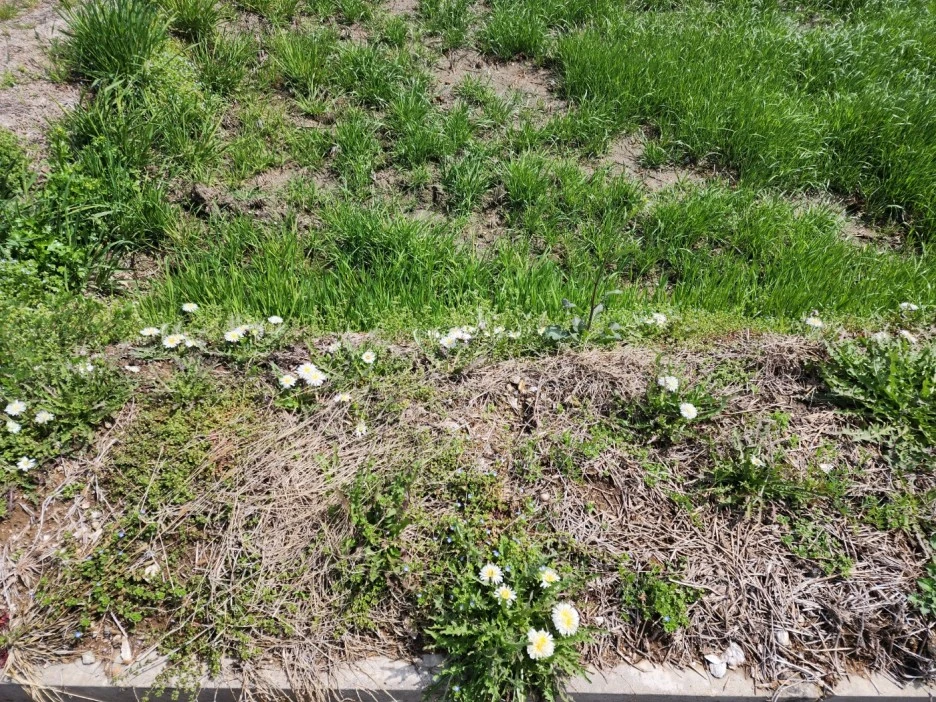 KakaoTalk_20230327_050432802_14.jpg?type=w1