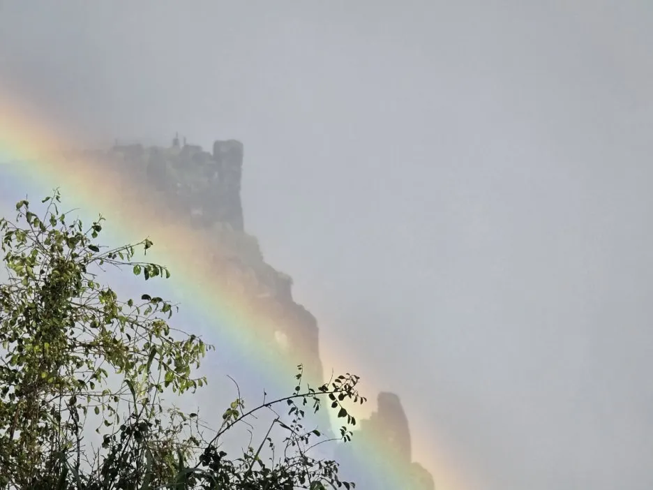 KakaoTalk_20250405_185635876.jpg?type=w1