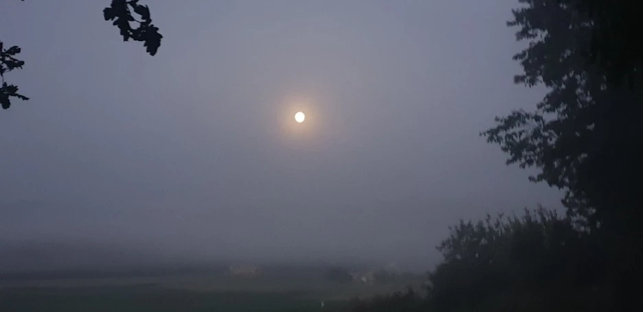 KakaoTalk_20220615_215355660.jpg?type=w1