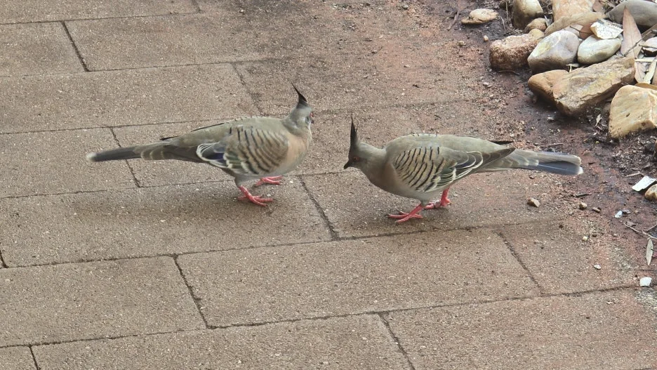 KakaoTalk_20251028_052229340_17.jpg?type=w1