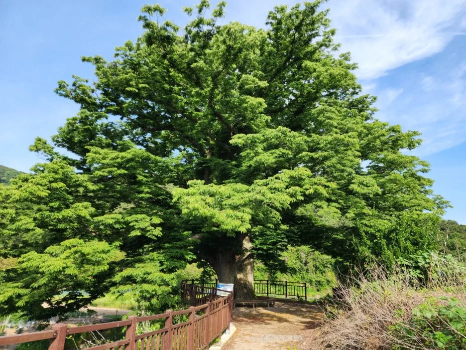 KakaoTalk_20240602_164520524_05.jpg?type=w1