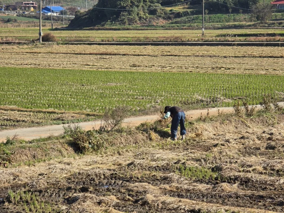 KakaoTalk_20241108_062645057_18.jpg?type=w1