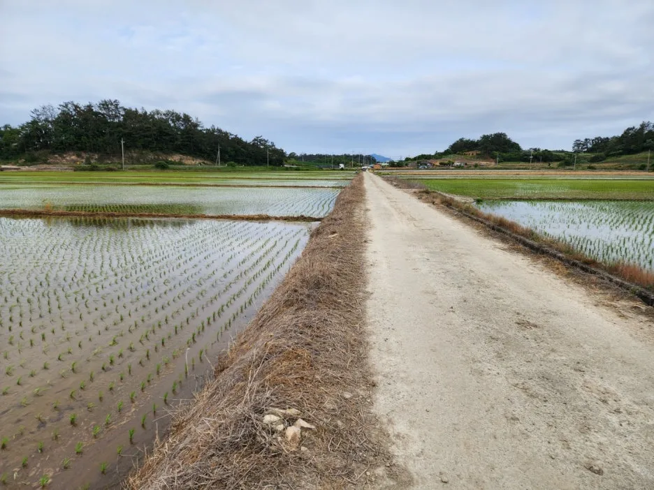 KakaoTalk_20240526_220649914_02.jpg?type=w1