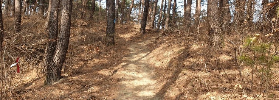 SE-07d6b268-caf1-4ded-bc93-869dd0511b11.jpg?type=w1