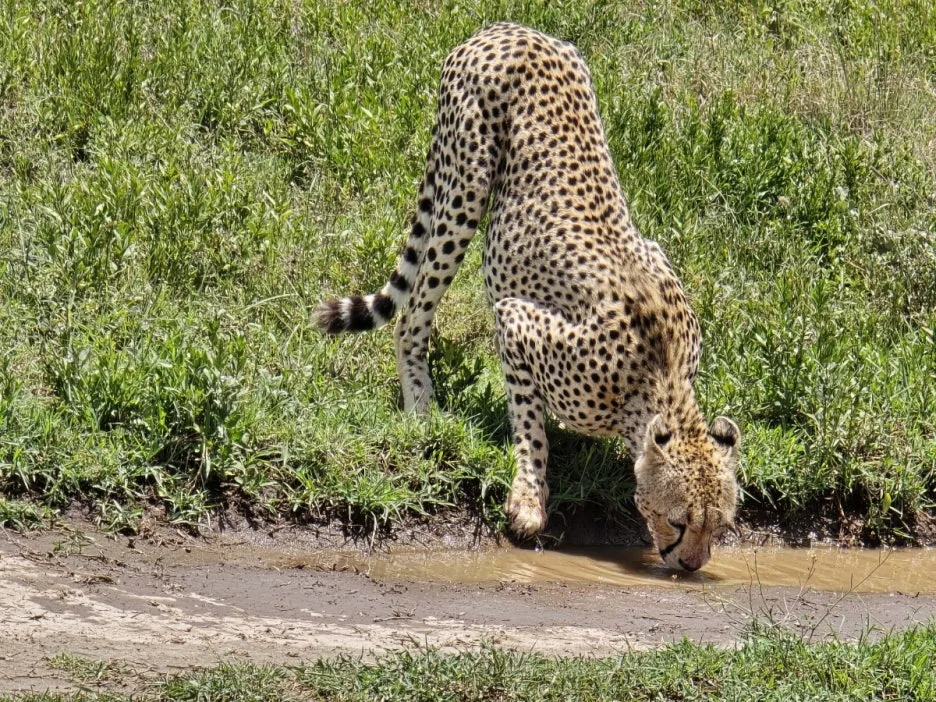 KakaoTalk_20250405_135250372_23.jpg?type=w1