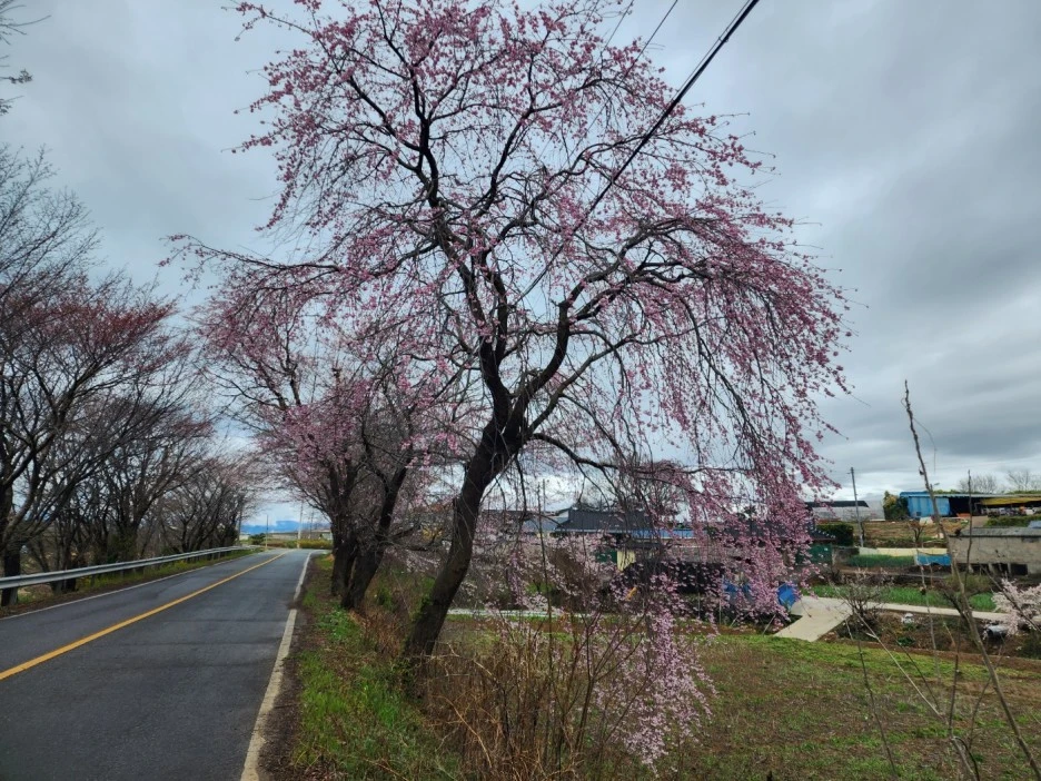 KakaoTalk_20230324_023416967_11.jpg?type=w1