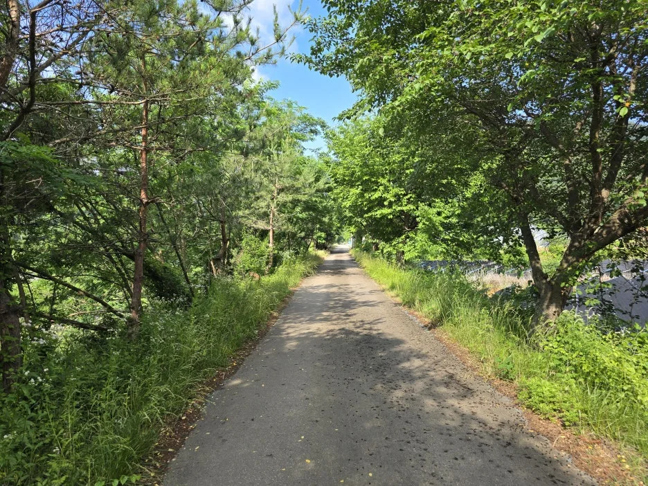 KakaoTalk_20250623_033029623_17.jpg?type=w1