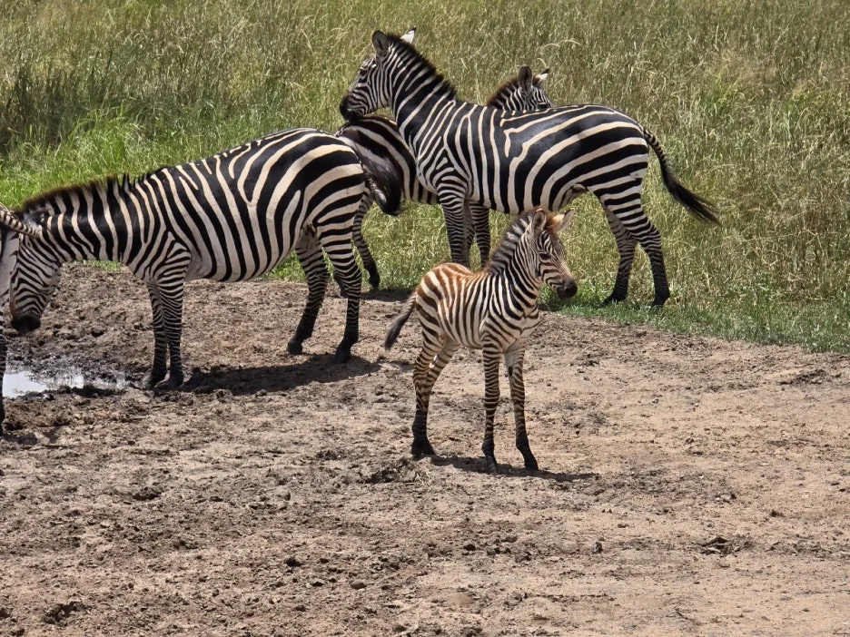 KakaoTalk_20250405_112215504_19.jpg?type=w1