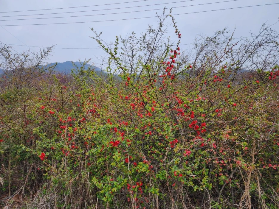 KakaoTalk_20230322_020016994_09.jpg?type=w1