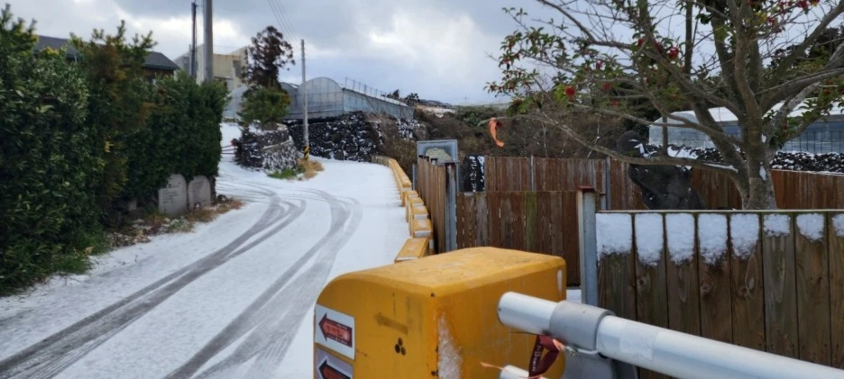 SE-300e002b-e569-417e-a56a-7bb057822ac2.jpg?type=w1