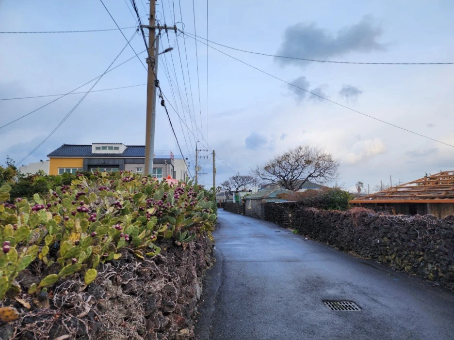 KakaoTalk_20221228_065101114.jpg?type=w1