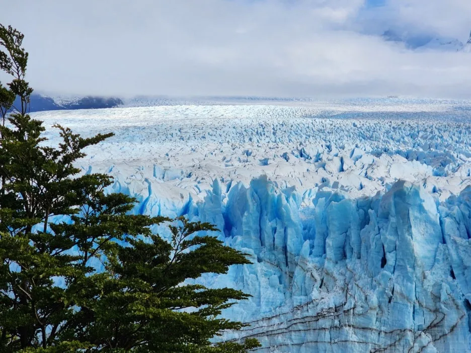 KakaoTalk_20240805_072017806_23.jpg?type=w1