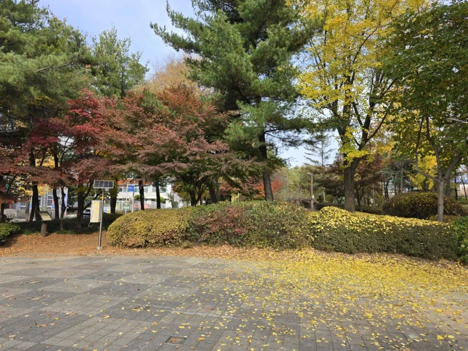 KakaoTalk_20241126_043530012_06.jpg?type=w1