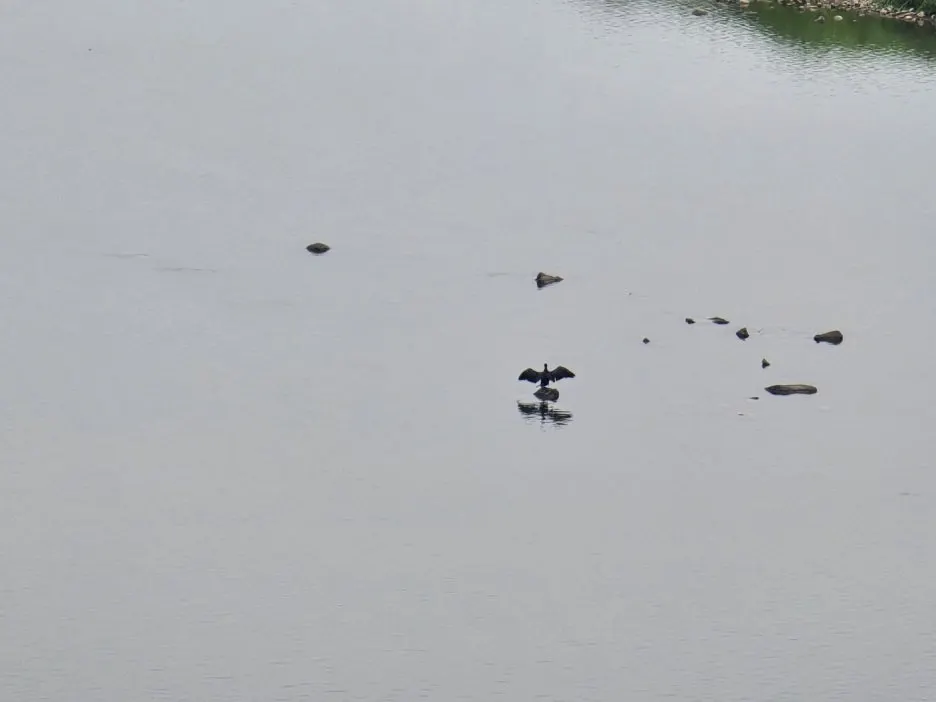 KakaoTalk_20250613_195634658_09.jpg?type=w1