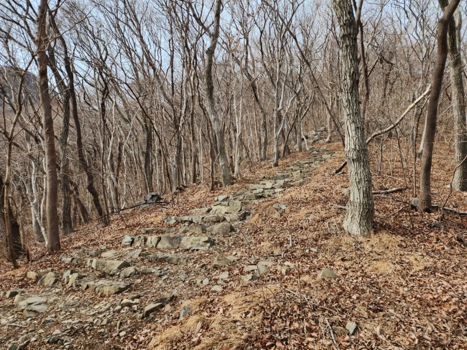 KakaoTalk_20230214_043856244_07.jpg?type=w1