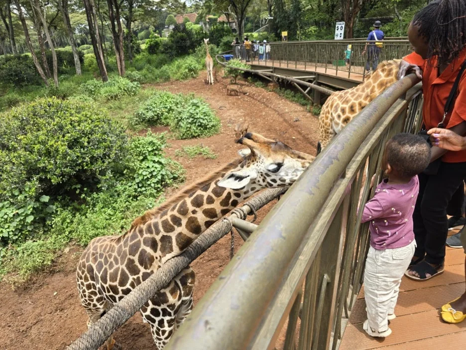 KakaoTalk_20250328_023001721_01.jpg?type=w1