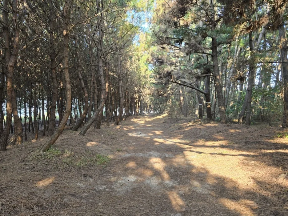 KakaoTalk_20241101_225213180_11.jpg?type=w1