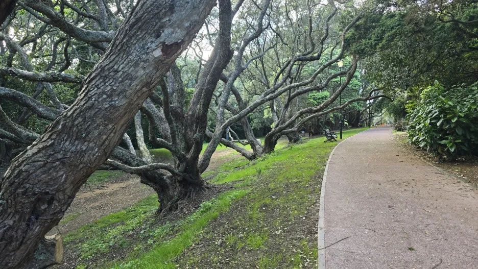 KakaoTalk_20251115_075343906_17.jpg?type=w1