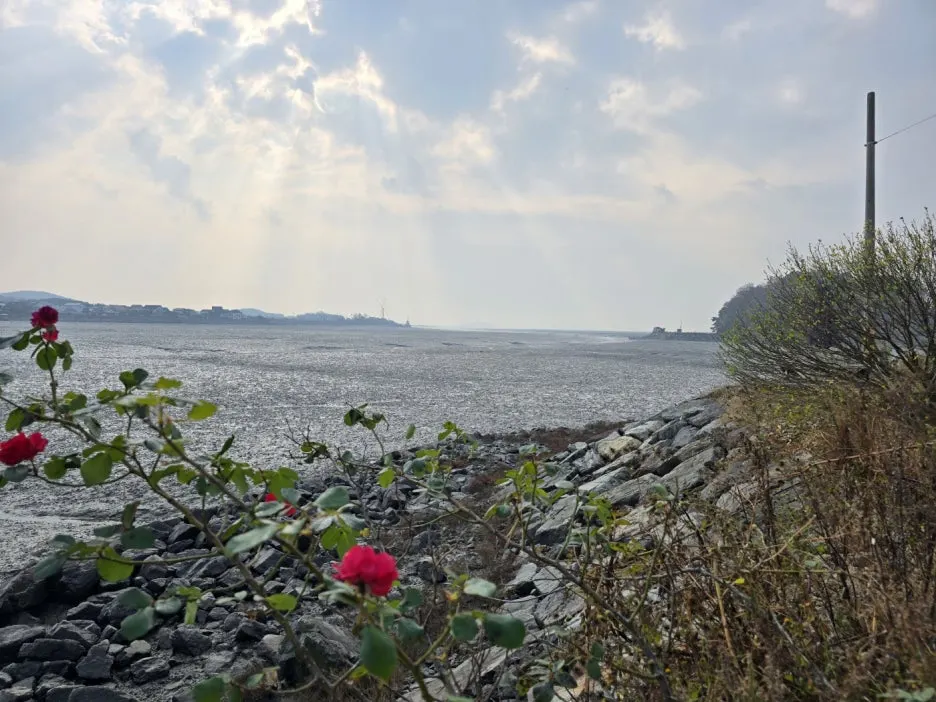 KakaoTalk_20241122_010459115_09.jpg?type=w1