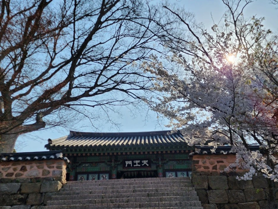 KakaoTalk_20230402_050707846_06.jpg?type=w1