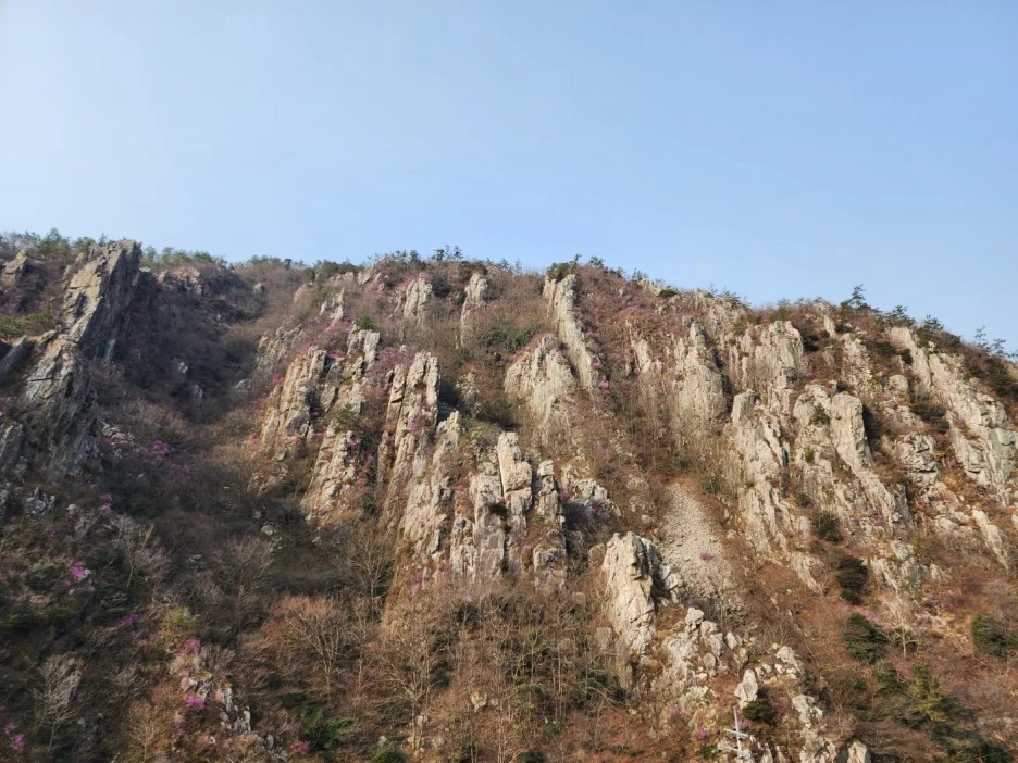 KakaoTalk_20230330_030454161_12.jpg?type=w1