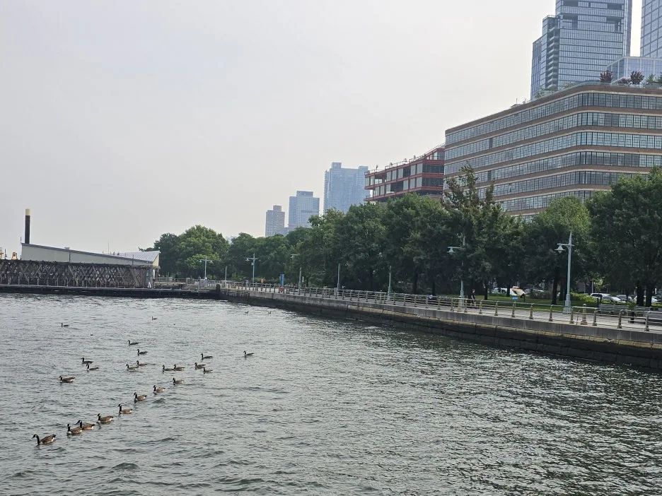 KakaoTalk_20250806_195219391_29.jpg?type=w1